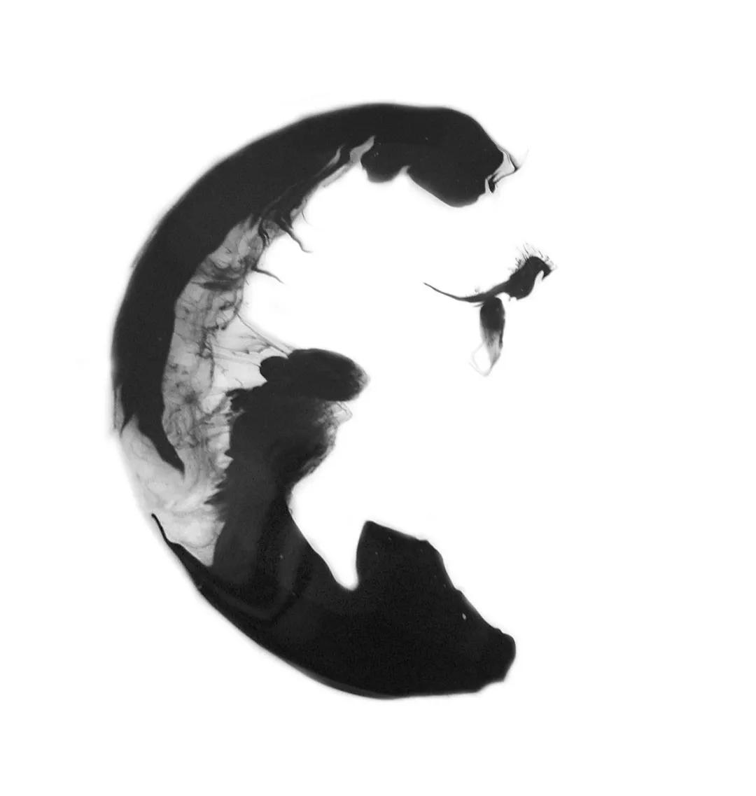 ps背景素材网站免费大推荐,ps模板素材免费文艺