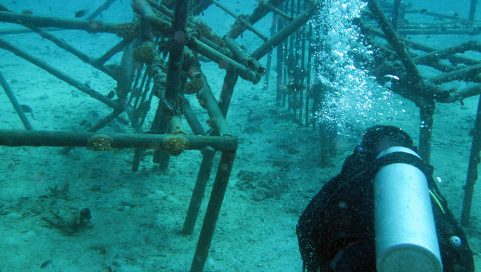 马来西亚最适合旅游的岛,马来西亚马布岛旅游攻略