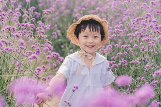 花海中如何拍照,花海里怎么拍照最好看