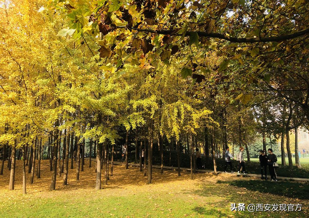 西安欧亚学院贵族学校,传说中的贵族学校西安欧亚学院