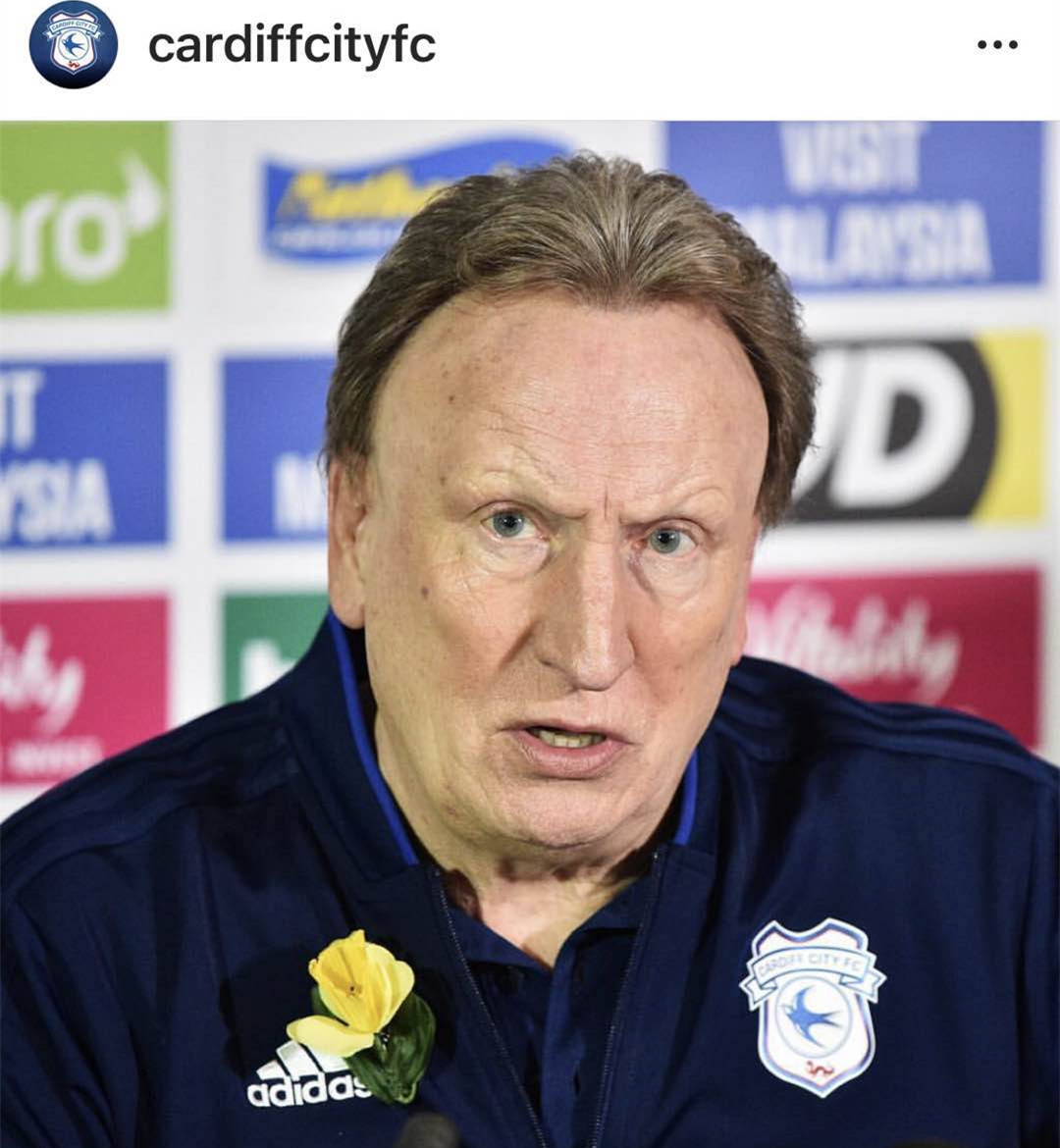 卡迪夫胜利献给萨拉5小时后找到球员飞机残骸足球从未高于生死