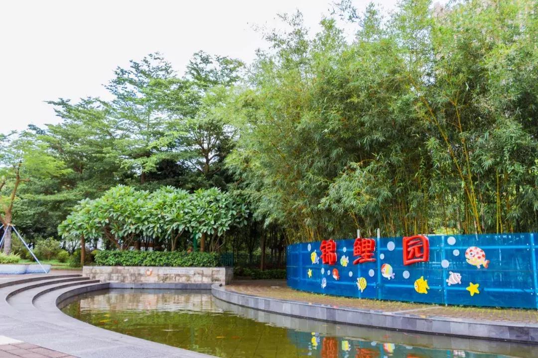 深圳哪里有摩天轮可以坐,深圳哪里有免费摩天轮