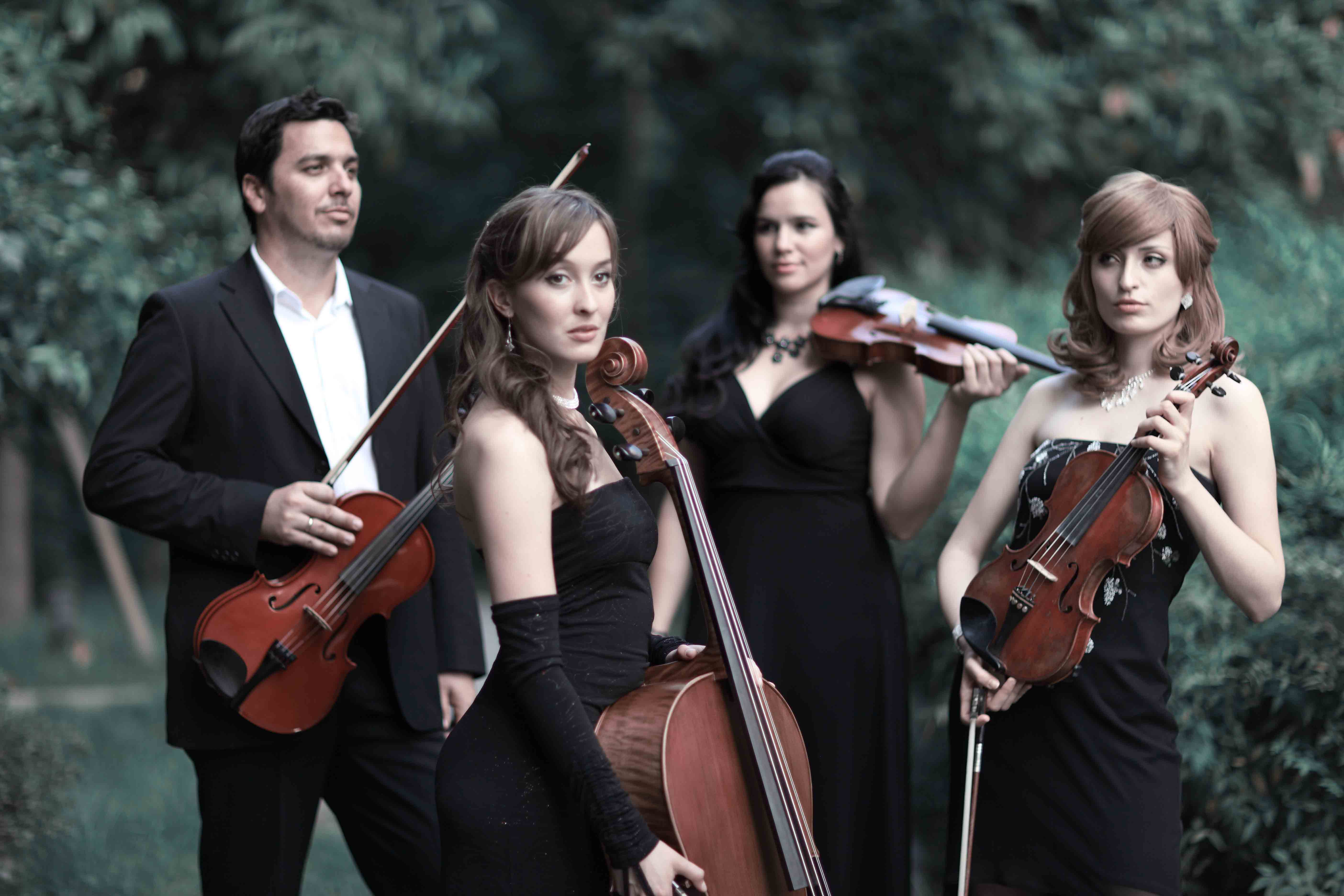 小提琴的维护保养的方法,小提琴怎么运作的