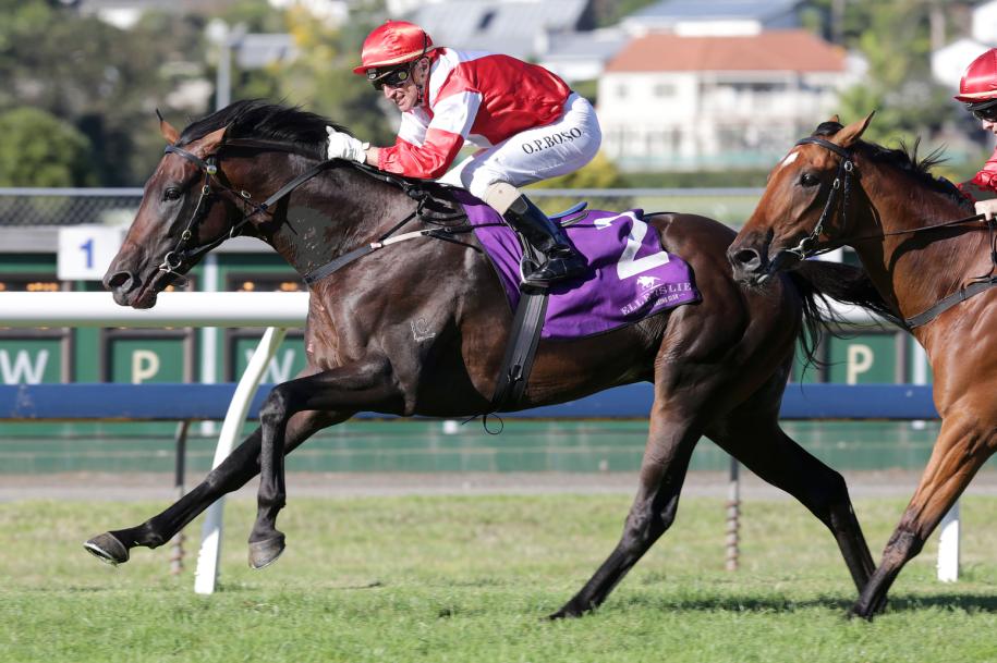 踏马滇池?百万名马乘骑等你来体验