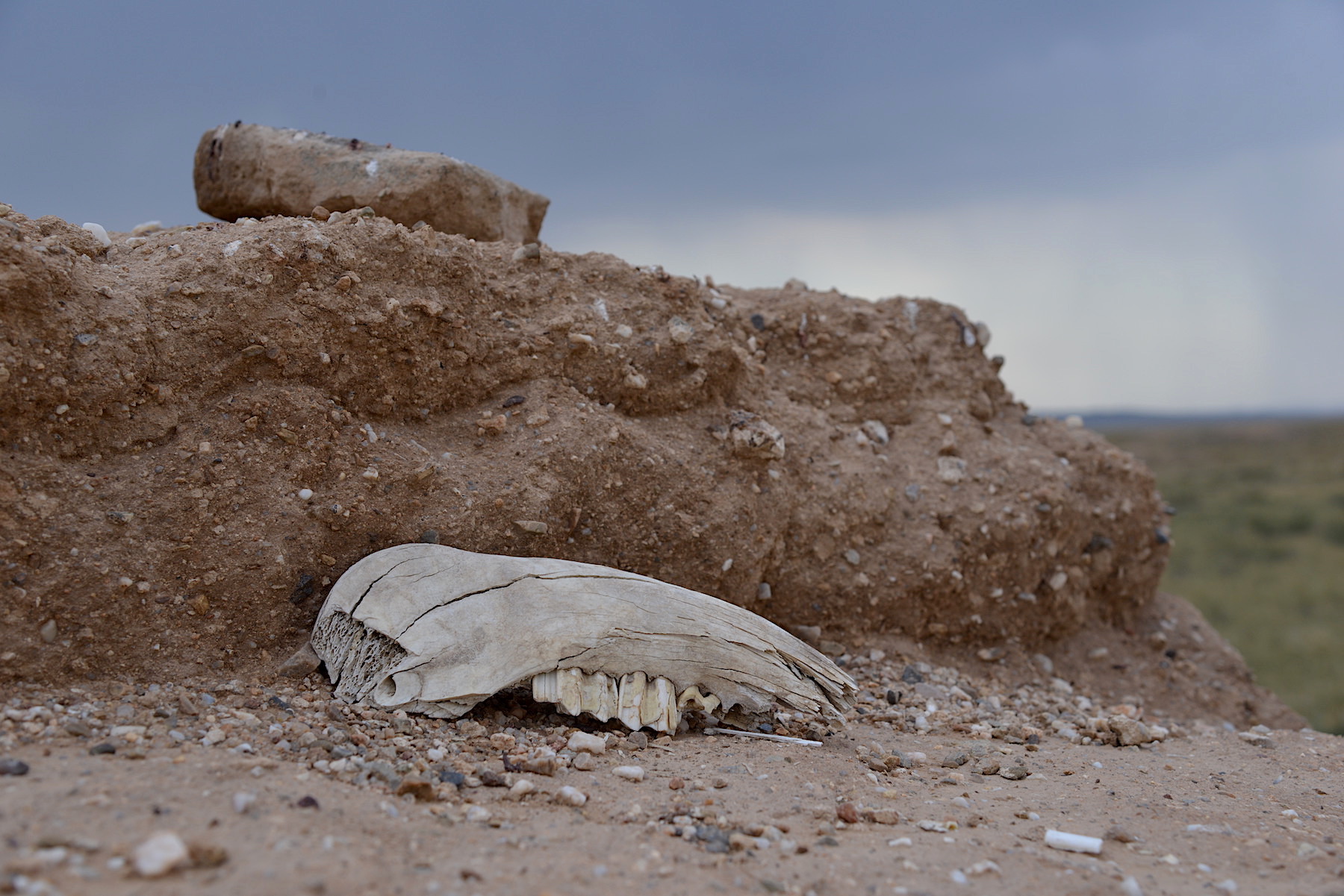 阴山古城遗址,阴山以北草原古城