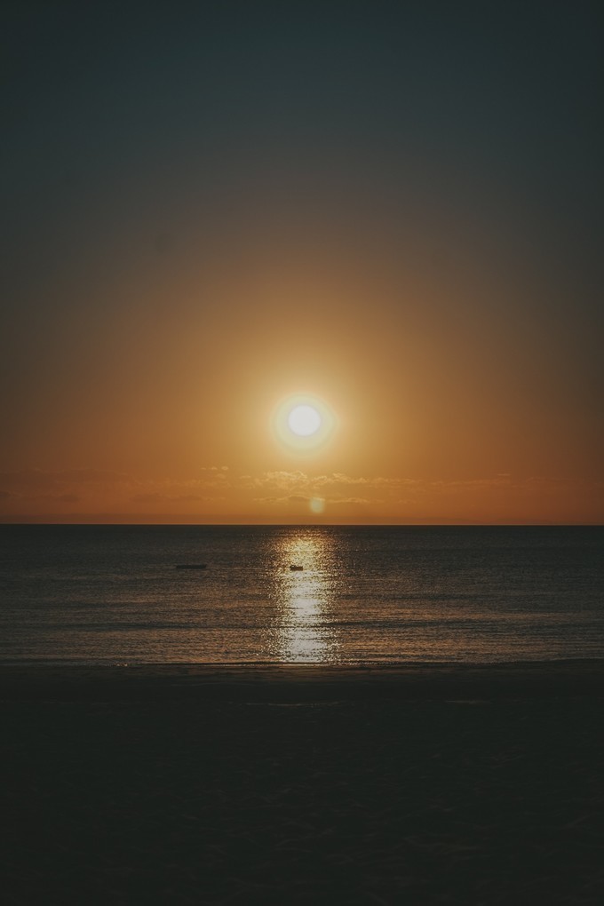 澳洲观鲸攻略,澳洲观鲸之旅