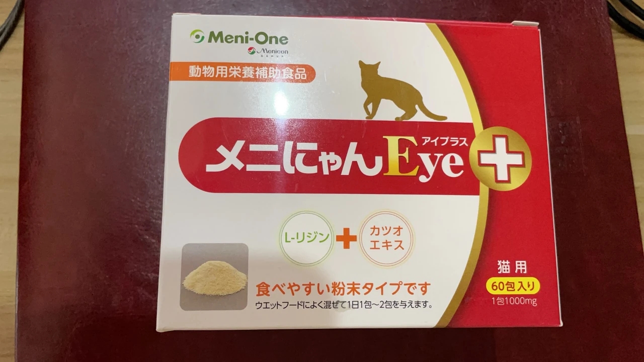 猫舍如何处理猫毛,猫舍买到猫鼻支不退款怎么办