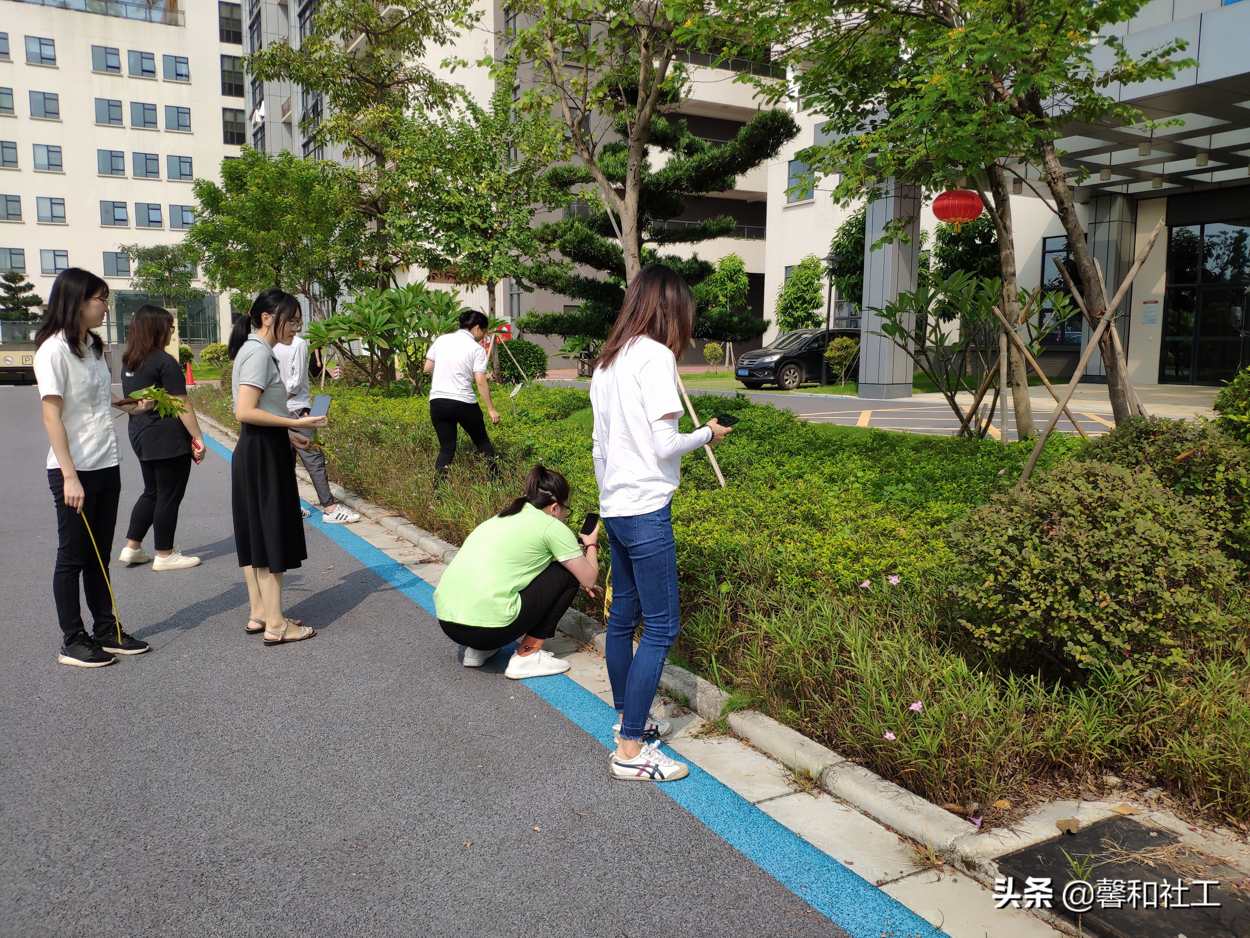 佛山养老护理员免费培训班报名,社工服务培训学习