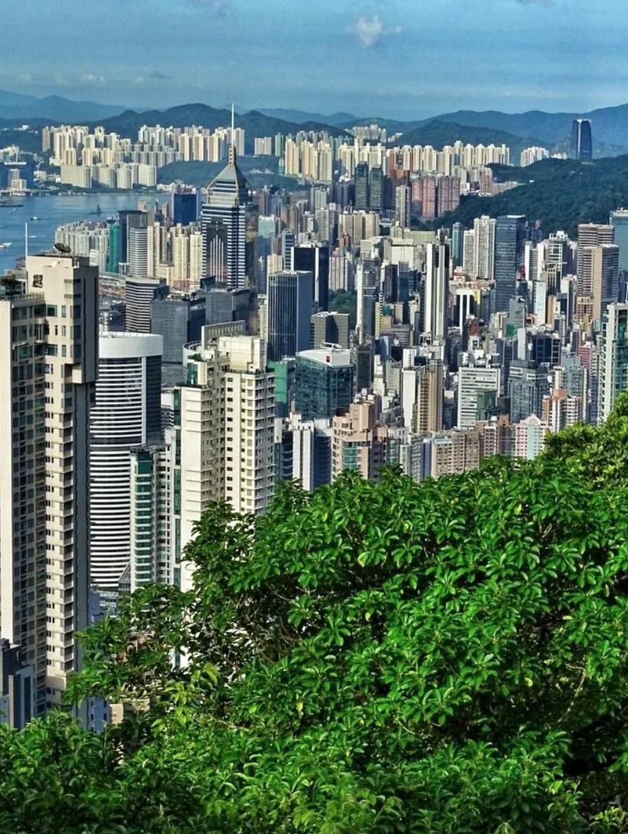 看完《喜宝》被气死，顶级富豪们最爱住的石澳道究竟是啥样？