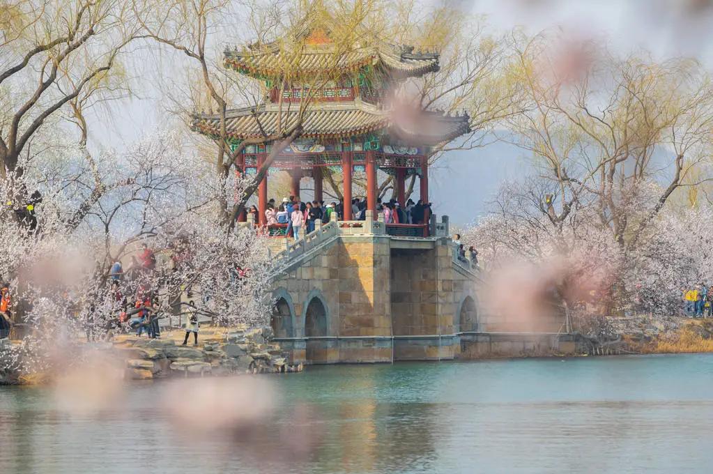 能耐水淹的园林树种,栽柳树用什么树种好