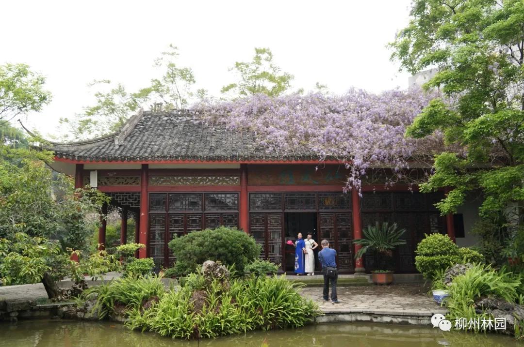 柳州柳侯公园有什么景物,柳州柳侯公园值得打卡