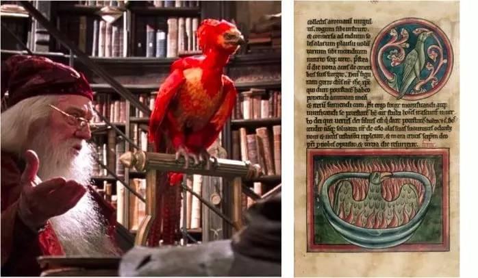 神奇动物2详解,神奇动物2开头没看懂