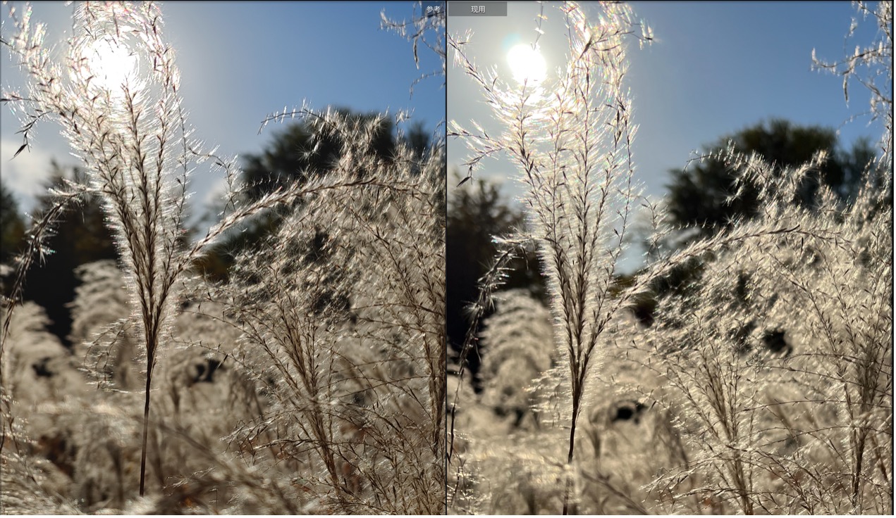 iphone13promax镜头解剖,iphone13pro跟13promax录像对比