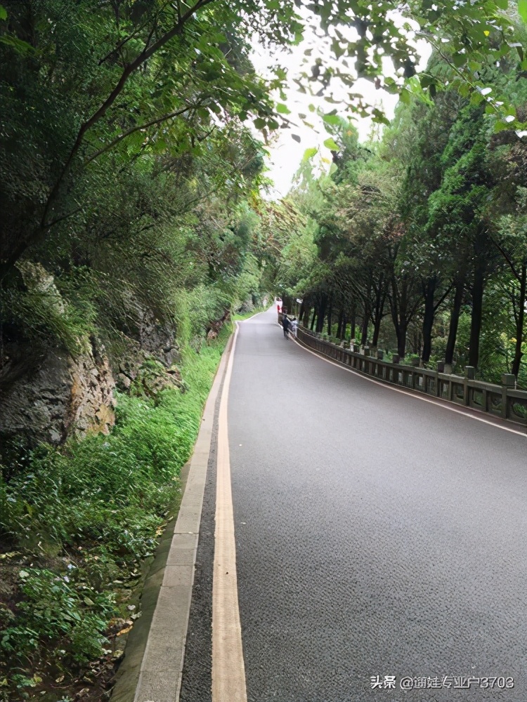 从茶马花街到西山龙门的旅游路线,西山森林公园旅游攻略一日游价格