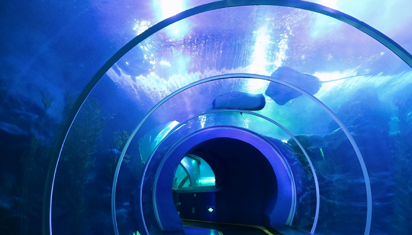 太原海洋大世界赶海公园,太原海洋公园游玩攻略