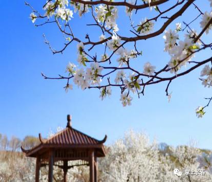 好事成双！拿长春消费券游莲花山，有折扣有套餐！