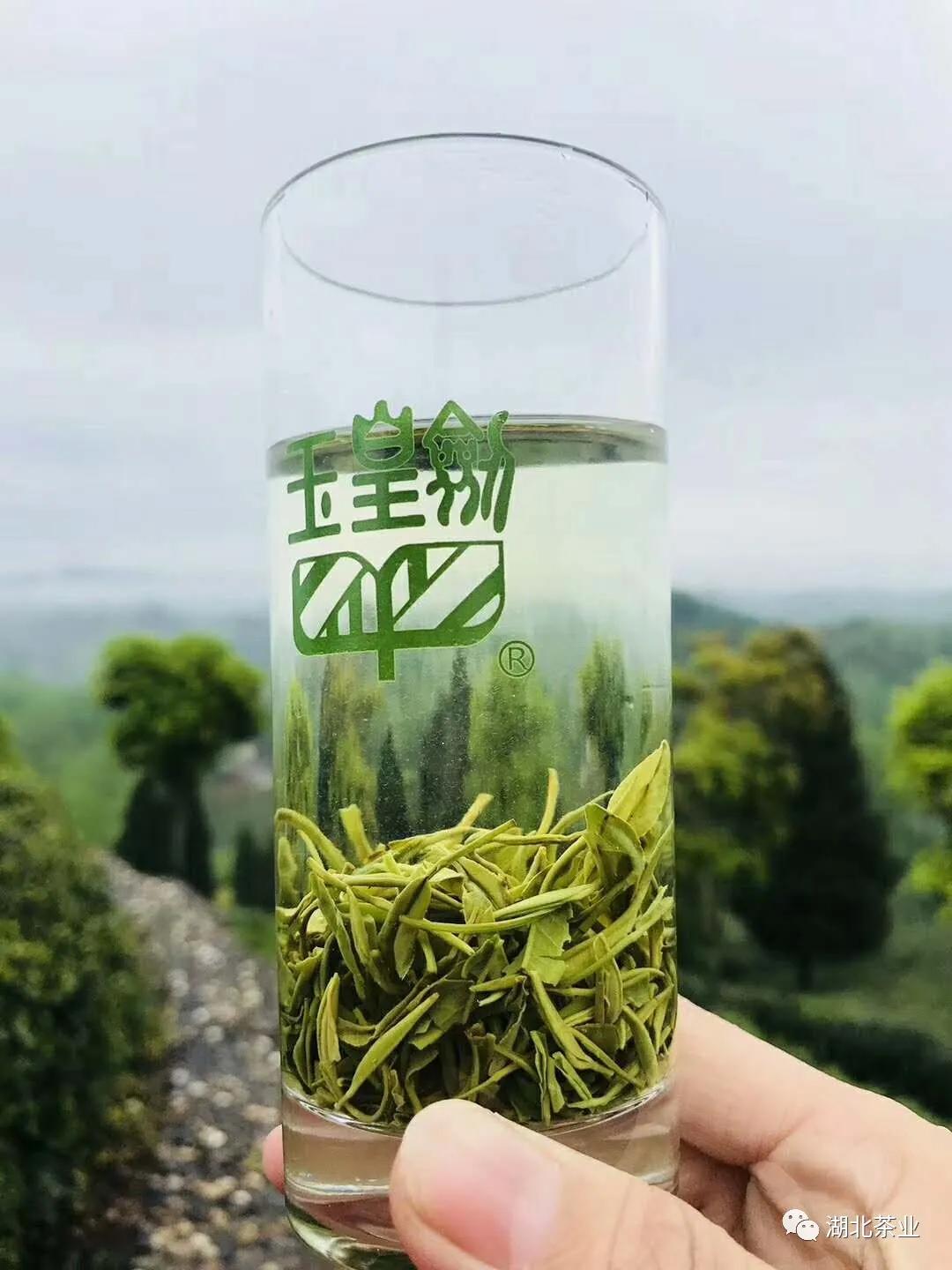 勿错过,湖北不负时光的好茶好选择