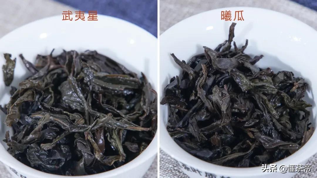 大红袍测评武夷星,大红袍贡茶推荐哪种好喝