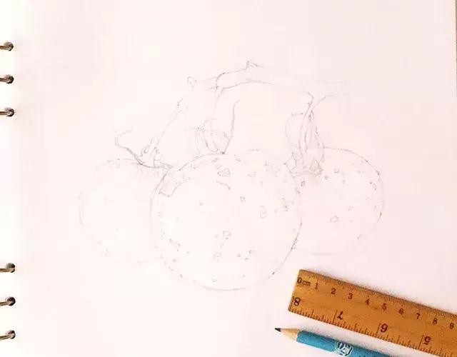 儿童彩铅画番茄,彩铅画写生番茄