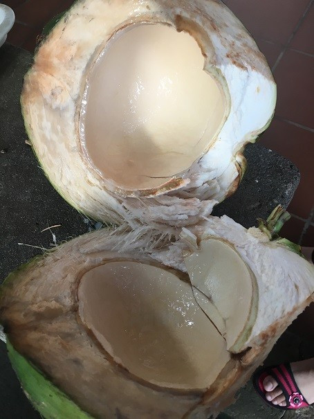 领略海口美丽风光，尝尽海口的各种美食