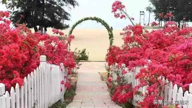 藏不住了深圳小众秘境免费邂逅,藏不住了打卡地