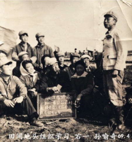 插秧拔杂草,插秧收割稻谷