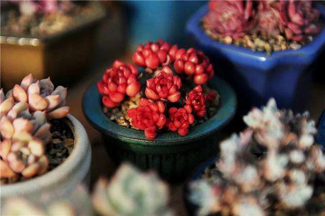 在冬季要注意什么,在冬天一定要注意保暖