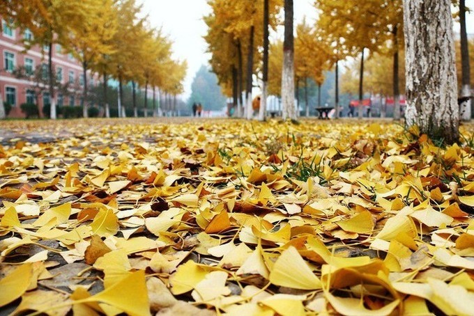 又一次“进京”，却也是走的匆忙......