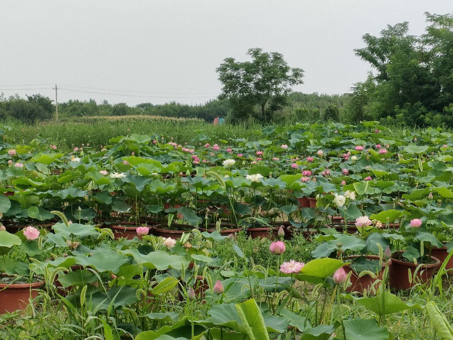 因过竹院逢僧话偷得浮生半日闲,偷得浮生半日闲下一句什么意思