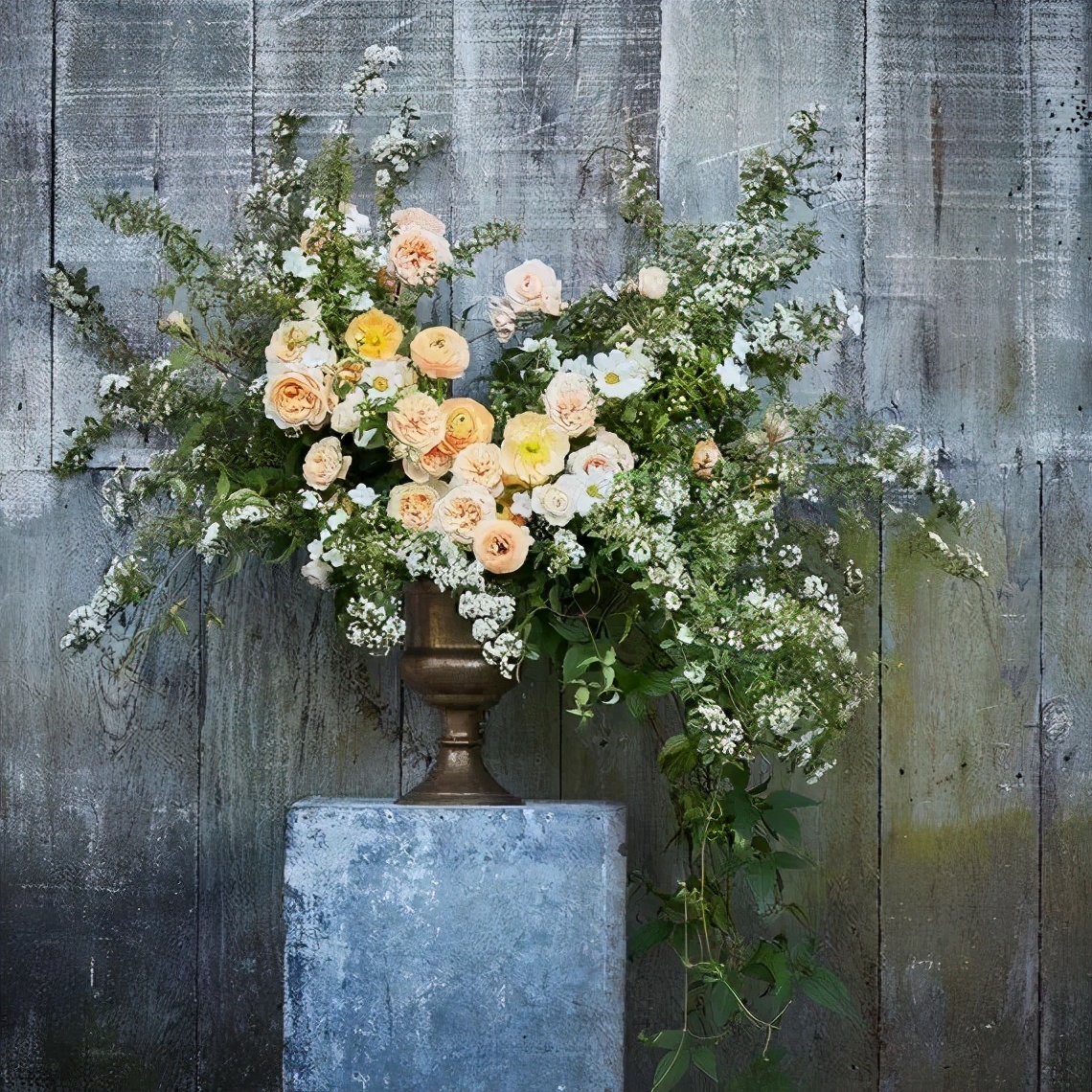 植库‖浪漫清新的小手球，为你带来氧气小森林