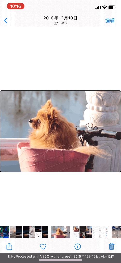 苹果ios15.2有实况文字吗,苹果升级ios15.4实况文本怎么设置