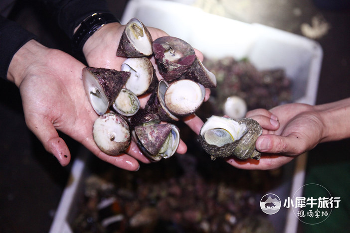 五一小长假海岛露营,小长假海岛露营