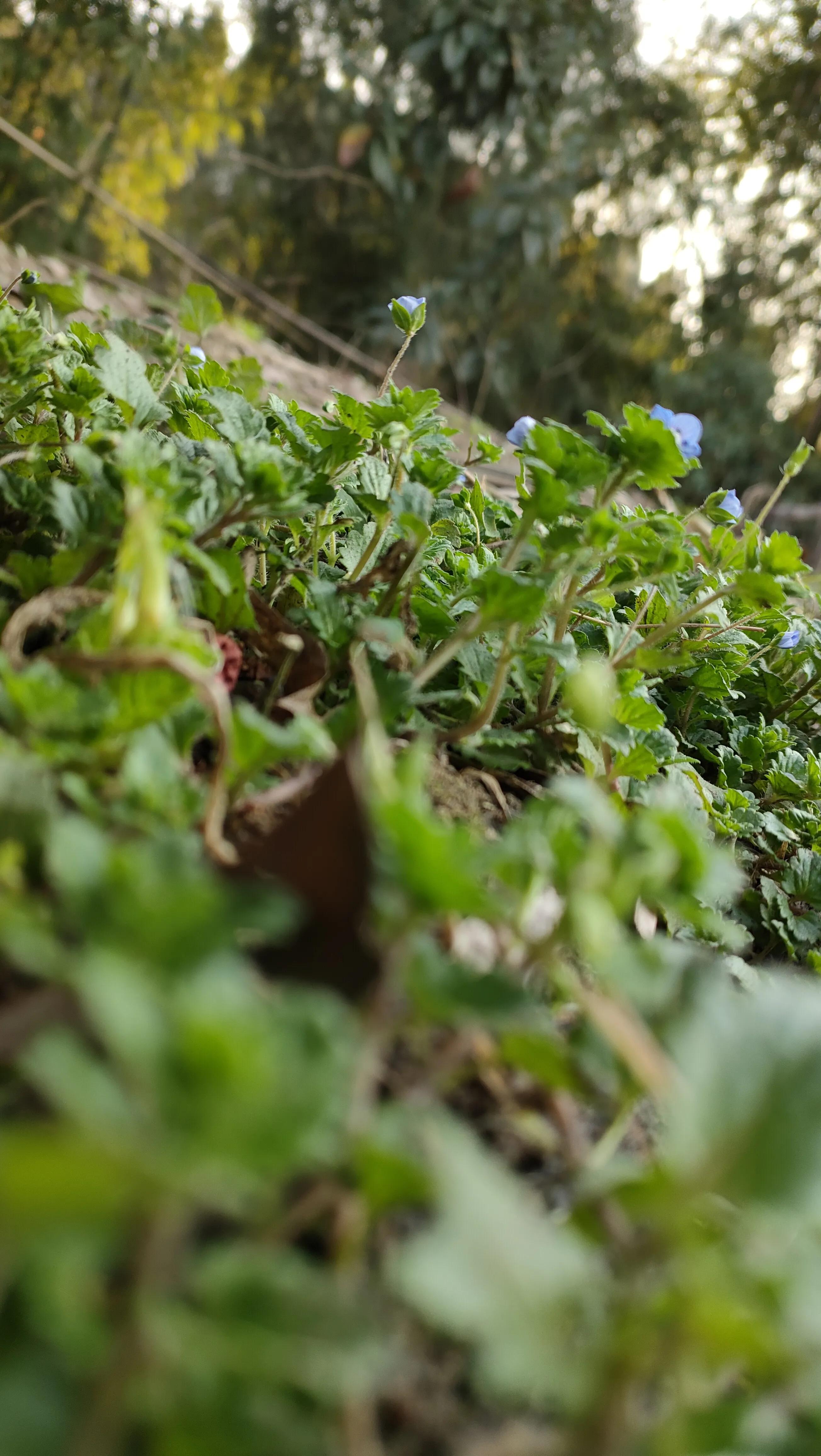 济南是一座美丽城市,济南梦想之城
