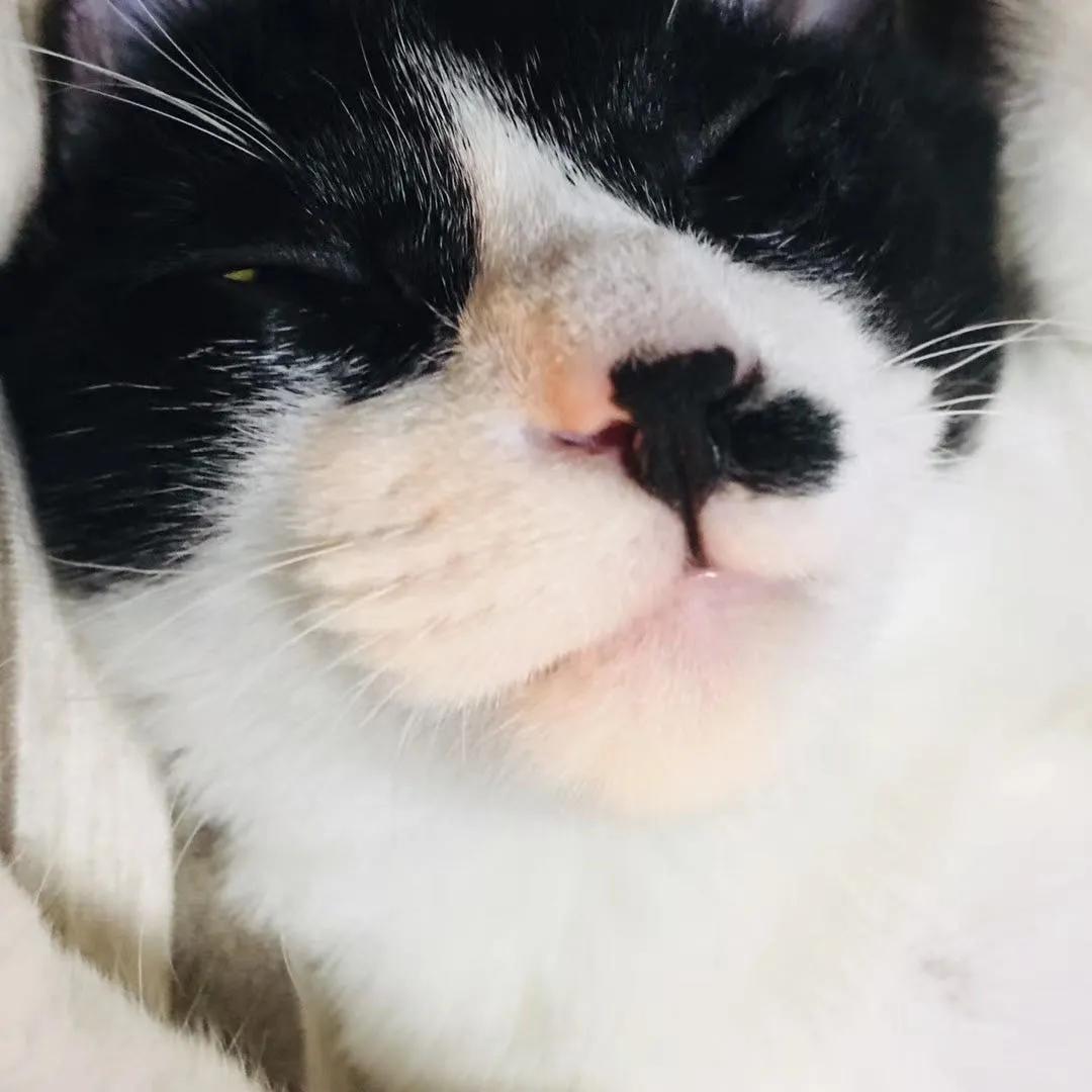 和卡卡的第一次合作,和卡卡相遇