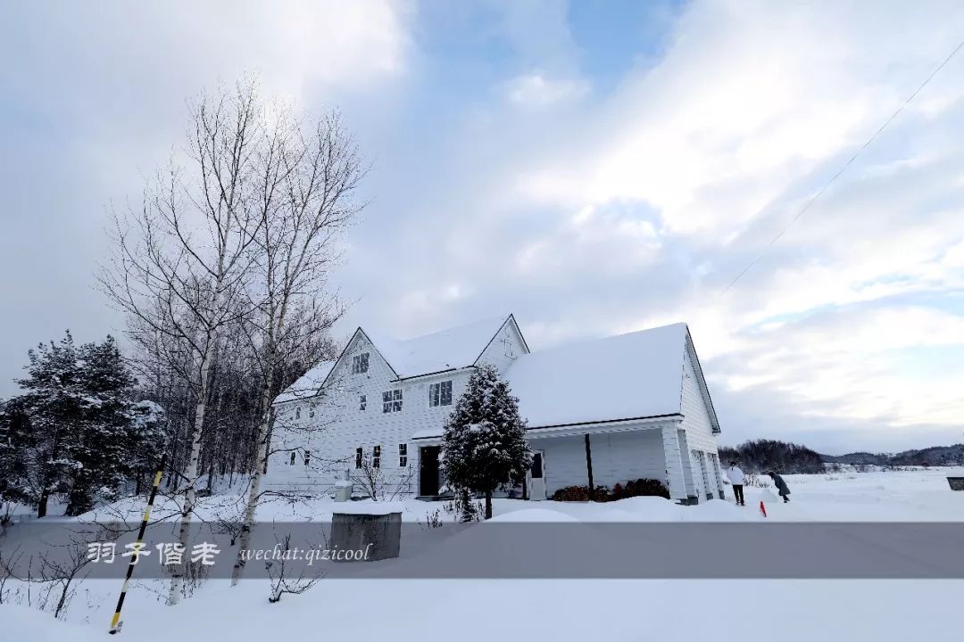 日本10天自由行费用北海道,东京北海道5日自由行攻略