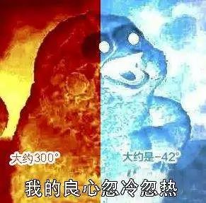 吃鸡要注意哪些东西的安全,吃鸡的忌口