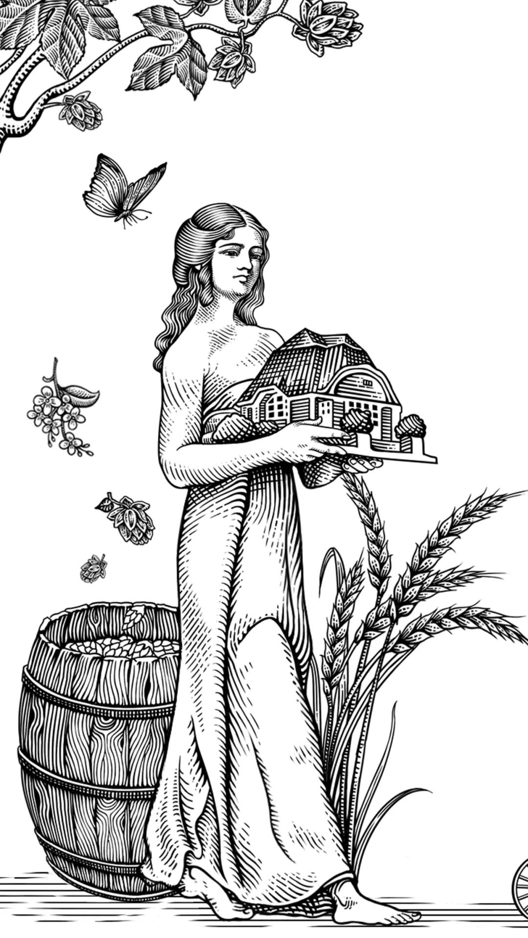 包装大神潘虎新作,潘虎青岛啤酒设计费