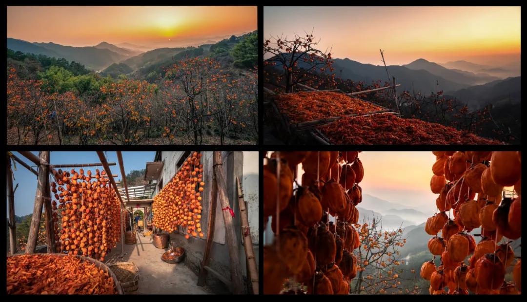 走向我们的小康生活微电影,走向我们的小康生活中国画