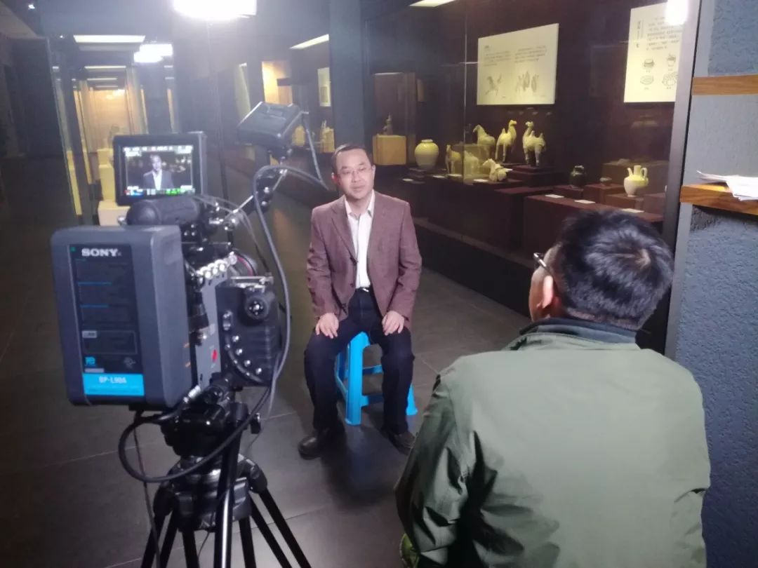 我的青联故事|杨曙明委员：一颗冉冉升起的雍秦文化之星