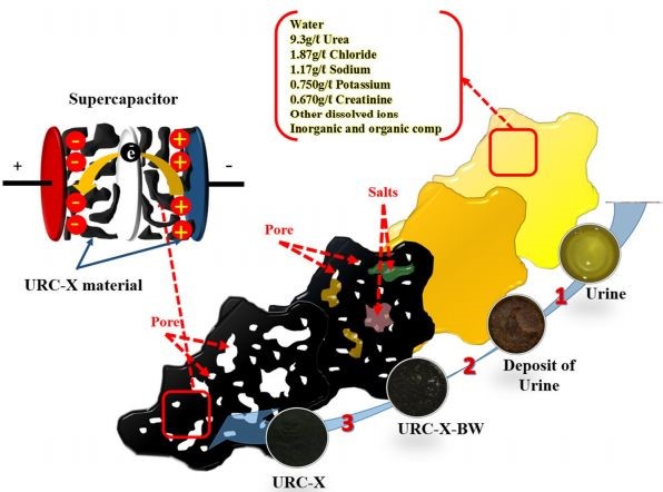 哪些人可以发sci,高中生可以发sci吗