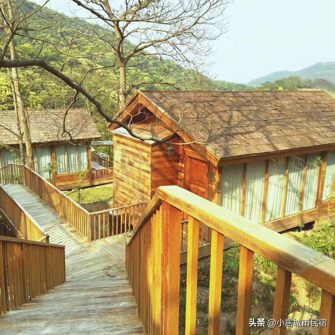 从化旅游景点大全樱花,从化樱花旅游景点