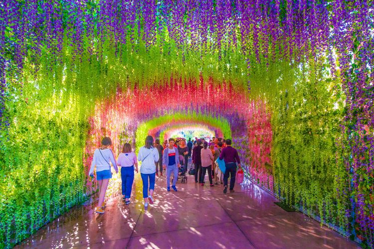 济南春节方特夜场游玩攻略,济南方特东方神画夜场游玩攻略