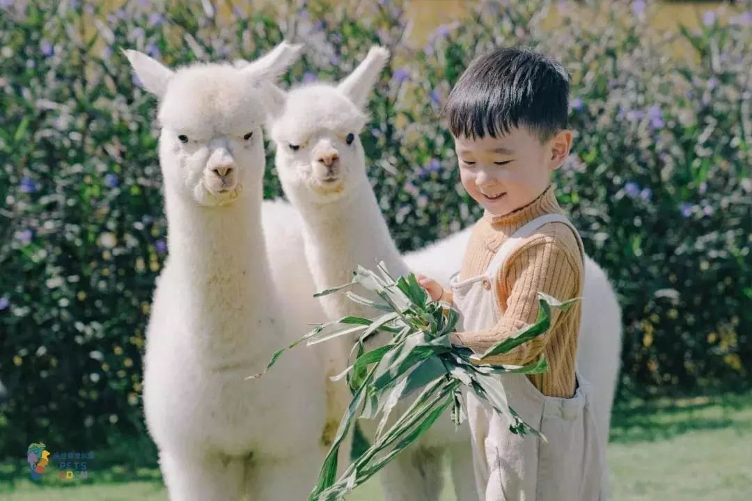 2021古滇星光跨年音乐嘉年华,昆明跨年古滇七彩云南欢乐世界