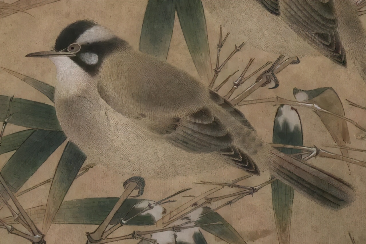 宋画大系花鸟卷,宋画花鸟卷