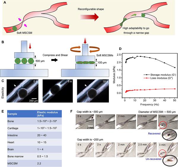 微型机器人和传统机器人结合实现体内狭小腔道的快速高精度递送
