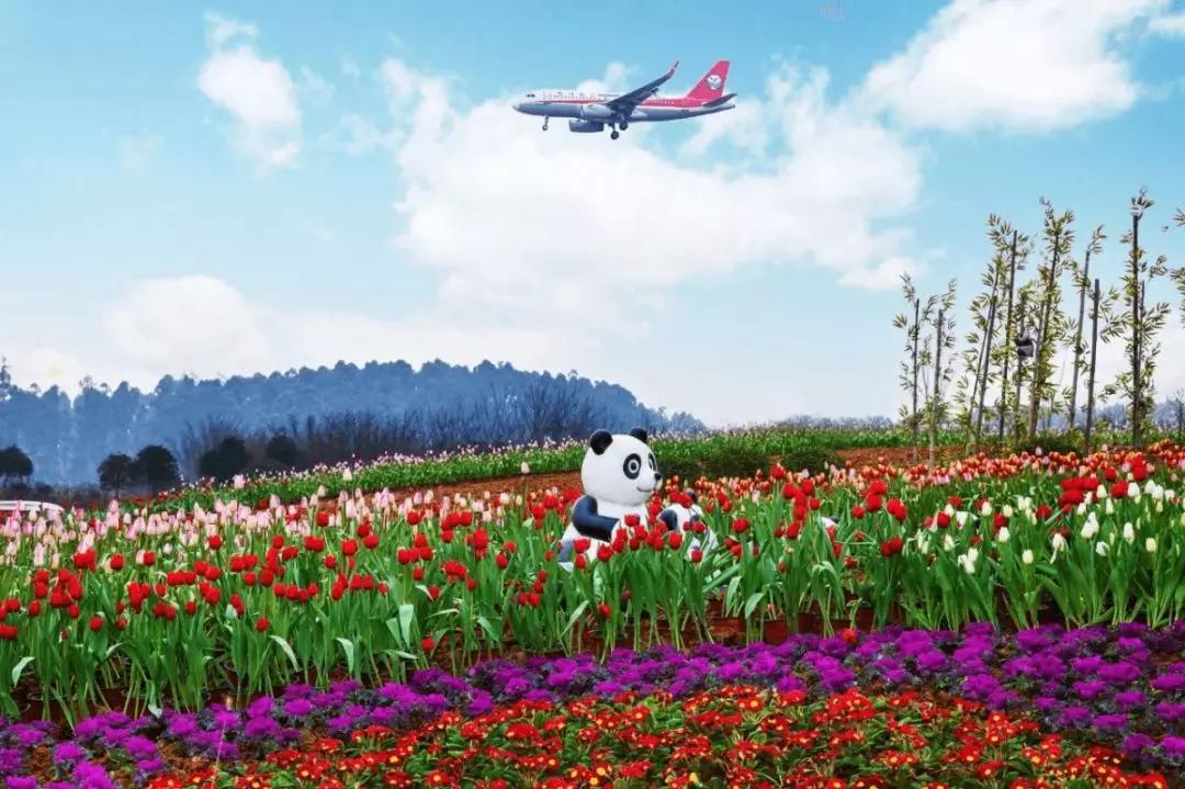 2020年4月成都双流赏花地点,双流踏青赏花地