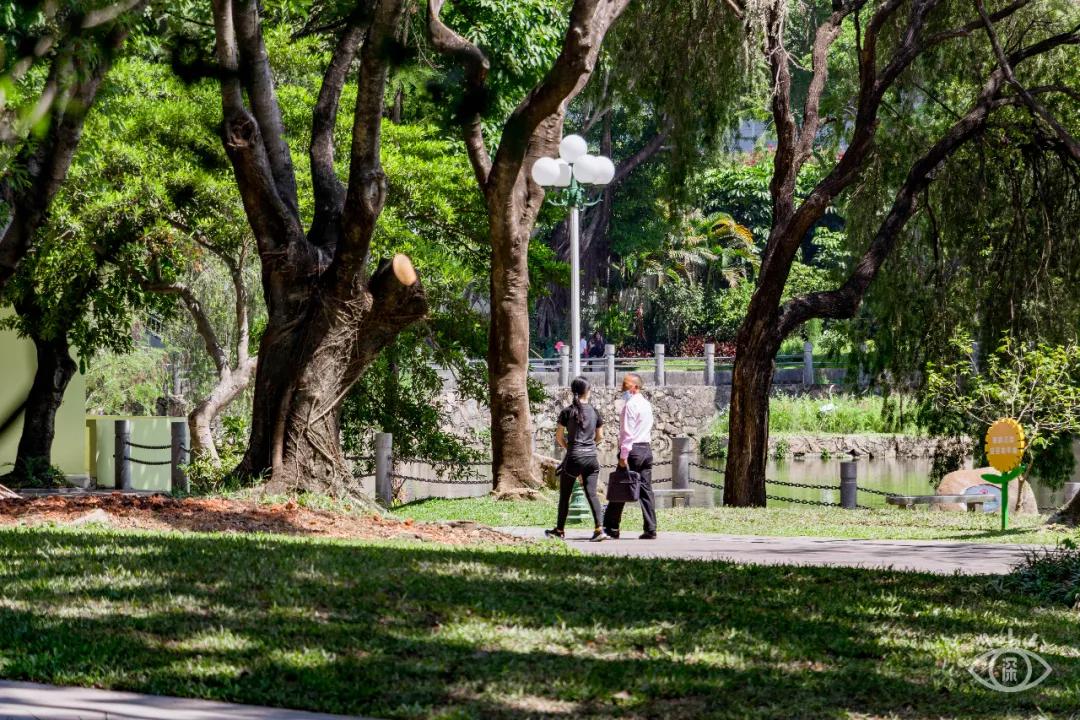 重庆轨道3号线,贵阳地铁3号线