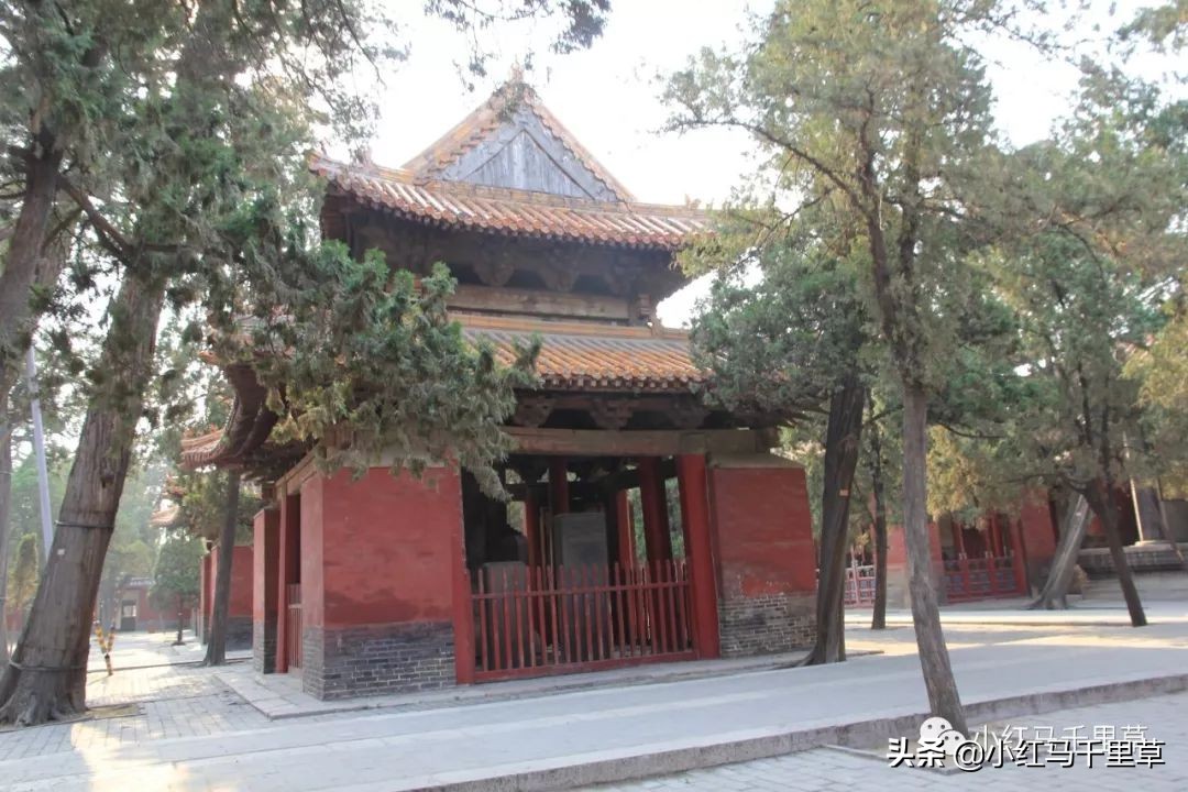 曲阜孔府孔庙孔林历史背景,曲阜孔府孔庙孔林一游