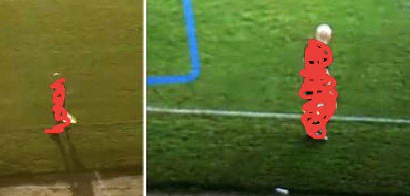 ai误认裁判光头为足球裁判,足球转播ai对焦到裁判的头上