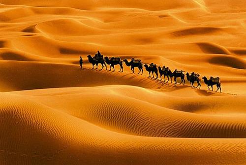 开辟丝绸之路的过程,开辟西域丝绸之路